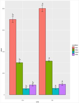 Interaction Between the Intestinal Microbial Community and Transcriptome Profile in Common Carp (Cyprinus carpio L.)